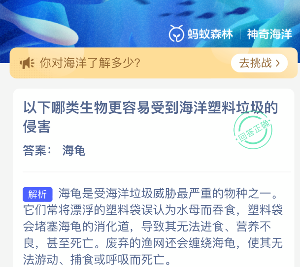 以下哪类生物更容易受到海洋塑料垃圾的侵害