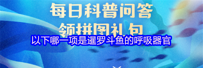 以下哪一项是暹罗斗鱼的呼吸器官