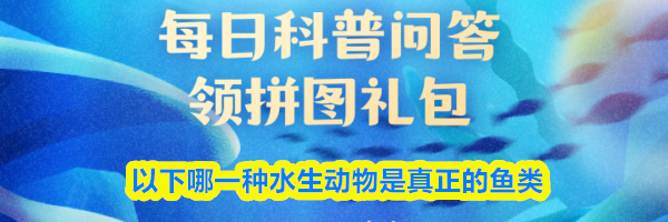以下哪一种水生动物是真正的鱼类