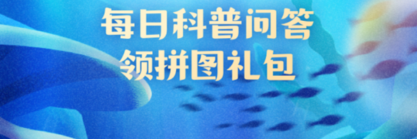 以下哪种海洋哺乳动物潜水时间更长