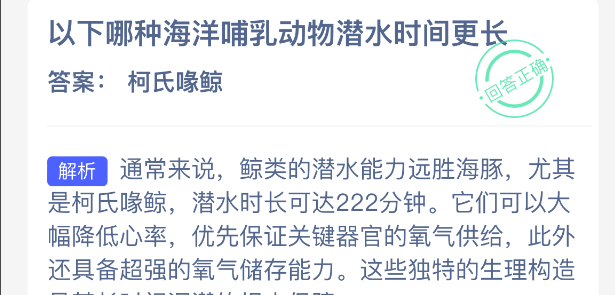 以下哪种海洋哺乳动物潜水时间更长