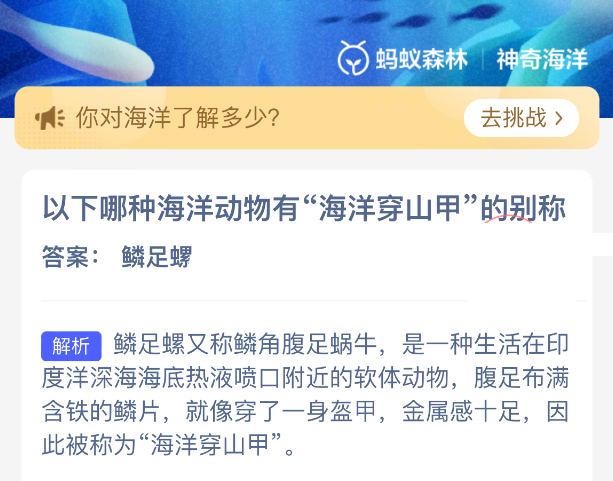 以下哪种海洋动物有海洋穿山甲的别称