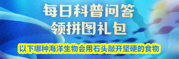 以下哪种海洋生物会用石头敲开坚硬的食物
