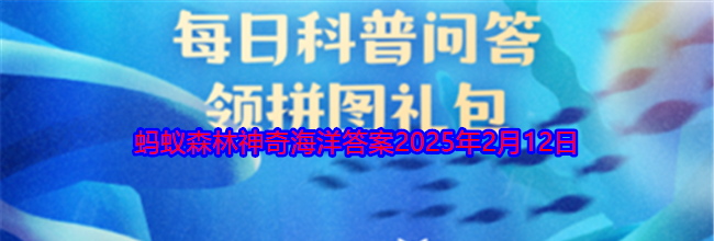 以下哪种蟹喜欢装扮自己