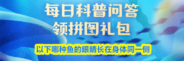 以下哪种鱼的眼睛长在身体同一侧