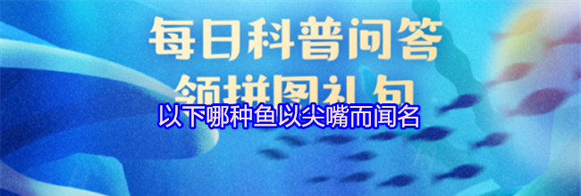 以下哪种鱼以尖嘴而闻名