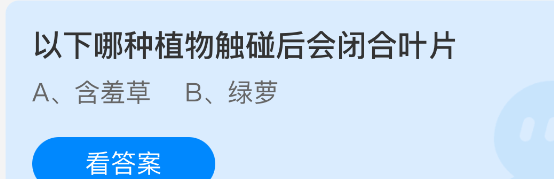 以下哪种植物触碰后会闭合叶片