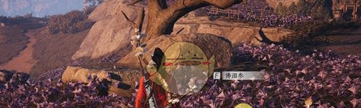 《燕云十六声》佛泪参每日必刷地点