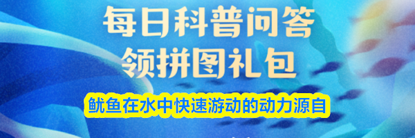 鱿鱼在水中快速游动的动力源自