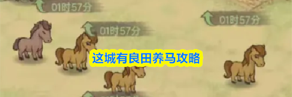 这城有良田养马攻略