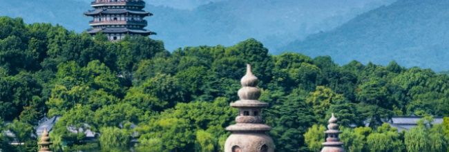 《浙里办》电子发票开具方法