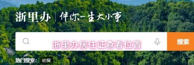 浙里办居住证查看位置