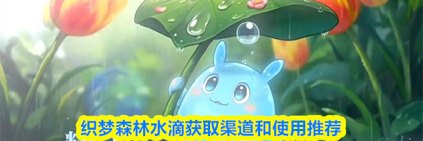 织梦森林水滴获取渠道和使用推荐