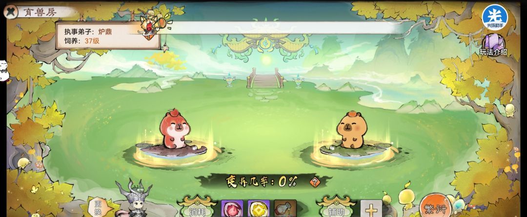 最强祖师灵兽峰玩法攻略