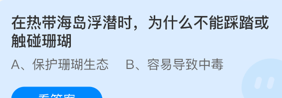 在热带海岛浮潜时，为什么不能踩踏或触碰珊瑚