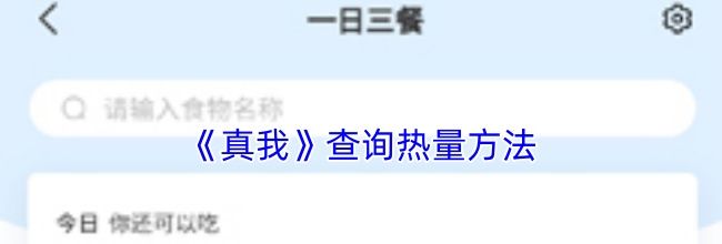 《真我》查询热量方法