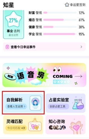 《知星》查看星盘方法