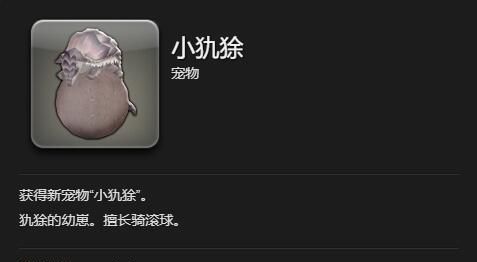 《最终幻想14：水晶世界》小犰狳获得方法