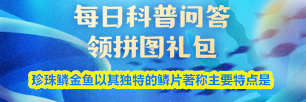 珍珠鳞金鱼以其独特的鳞片著称主要特点是