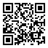 闲置赛车手二维码下载图