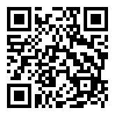 真我PC掌玩二维码下载图