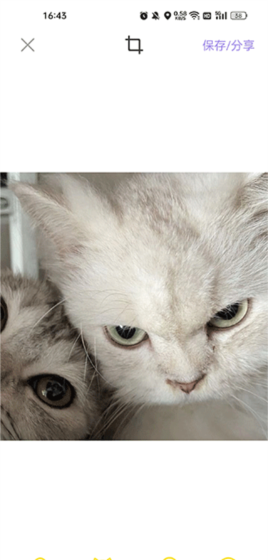 宠物相机app使用教程