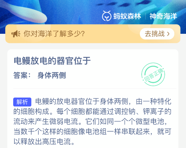 电鳗放电的器官位于