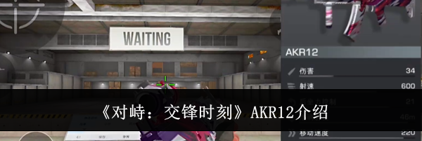 《对峙：交锋时刻》AKR12介绍