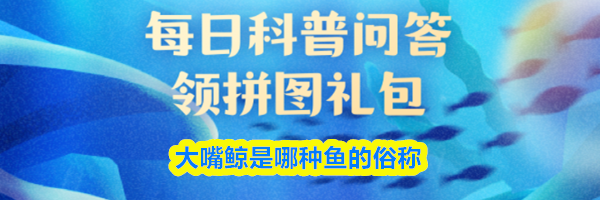 大嘴鲸是哪种鱼的俗称