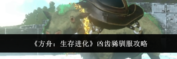 《方舟：生存进化》凶齿豨驯服攻略
