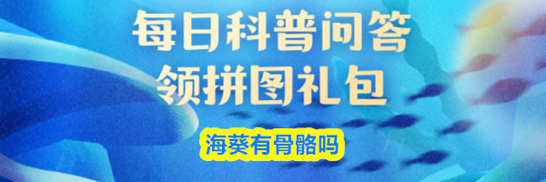 海葵有骨骼吗