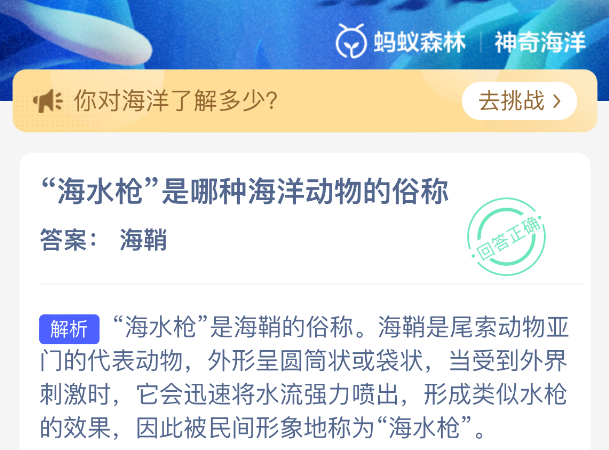 海水枪是哪种海洋动物的俗称