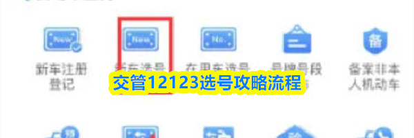 交管12123选号攻略流程