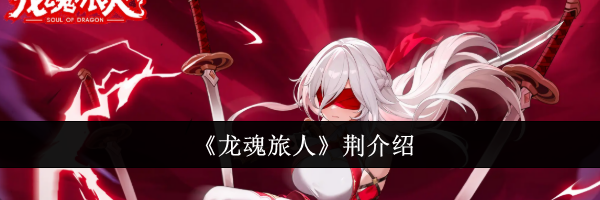 《龙魂旅人》荆介绍