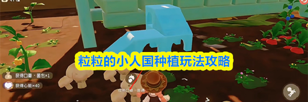 粒粒的小人国种植玩法攻略