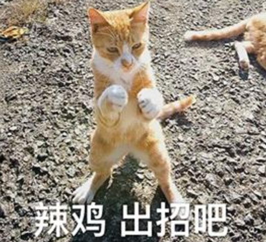 乱涂彩世界天照培养攻略