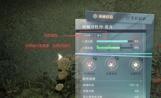 《恋与深空》全新家园懒人法培育花攻略