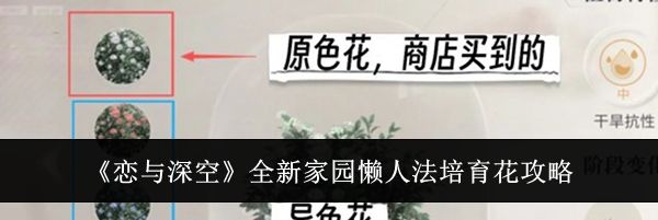 《恋与深空》全新家园懒人法培育花攻略