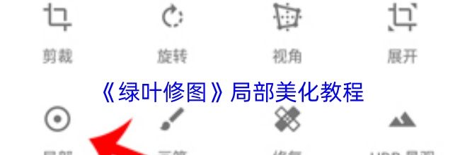 《绿叶修图》局部美化教程