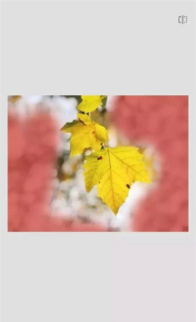 《绿叶修图》蒙版工具教程