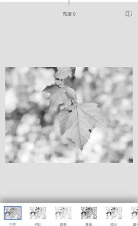 《绿叶修图》蒙版工具教程