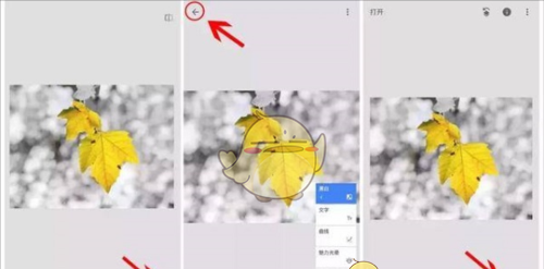《绿叶修图》蒙版工具教程