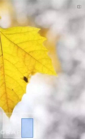 《绿叶修图》蒙版工具教程