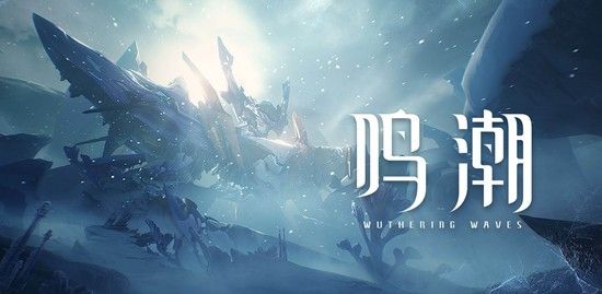 《鸣潮》3.1下半卡池抽取建议