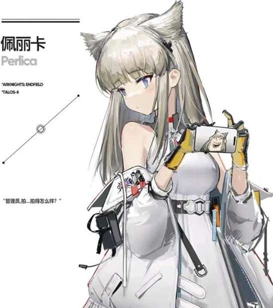 《明日方舟：终末地》佩丽卡配队攻略