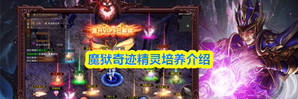 魔狱奇迹精灵培养介绍
