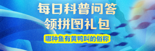 哪种鱼有黄鸭叫的俗称