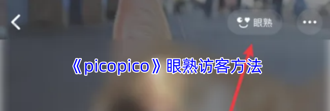 《picopico》眼熟访客方法