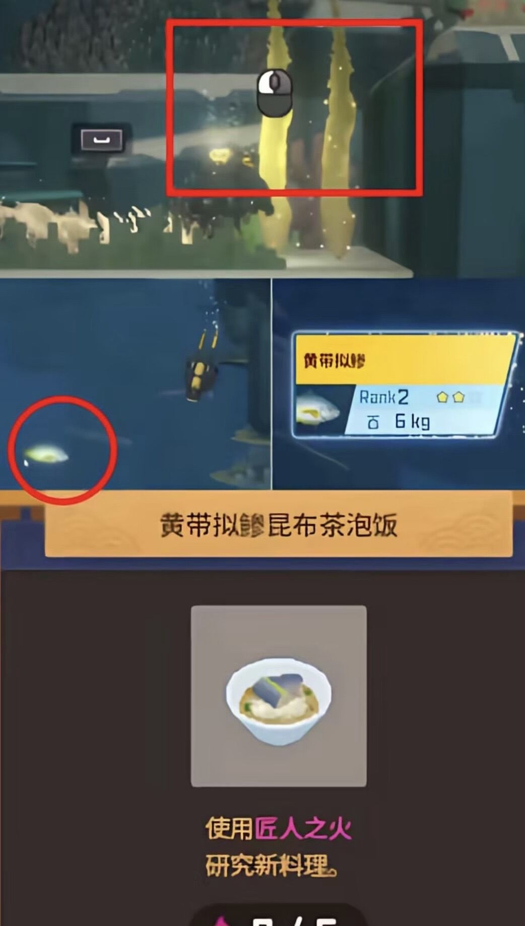 潜水员戴夫第二章详细攻略
