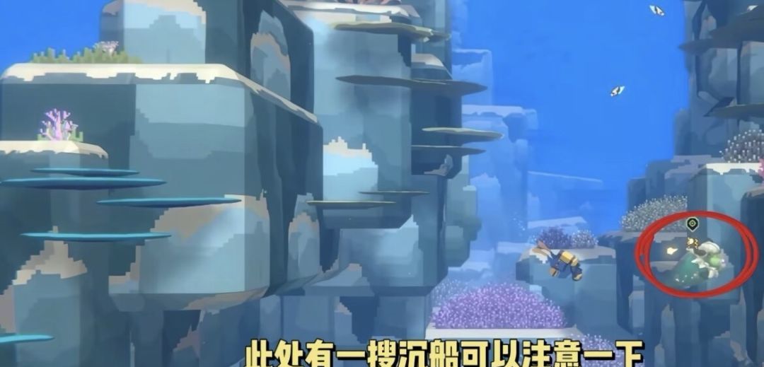 潜水员戴夫第四章详细攻略